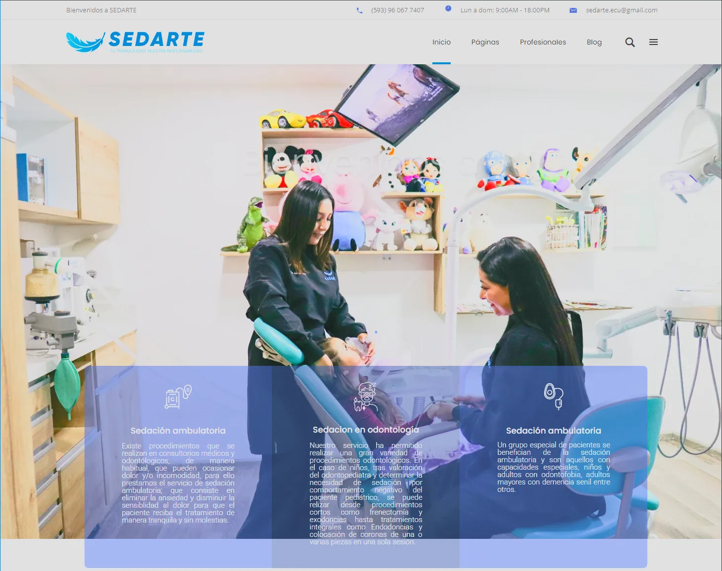 Vista previa de Sedarte